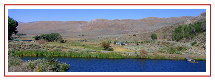 Red Rock Hounds Kennels at Ross Creek Ranch, Reno, Nevada